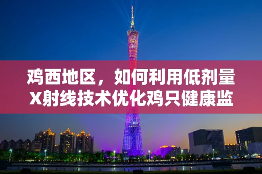 鸡西地区，如何利用低剂量X射线技术优化鸡只健康监测？