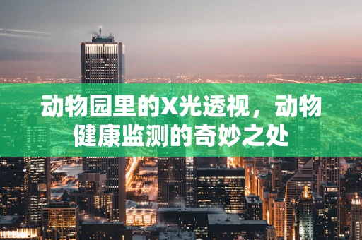 动物园里的X光透视，动物健康监测的奇妙之处