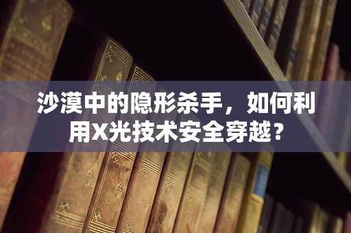 沙漠中的隐形杀手，如何利用X光技术安全穿越？