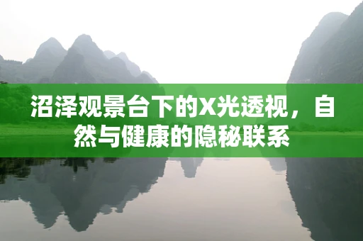 沼泽观景台下的X光透视，自然与健康的隐秘联系
