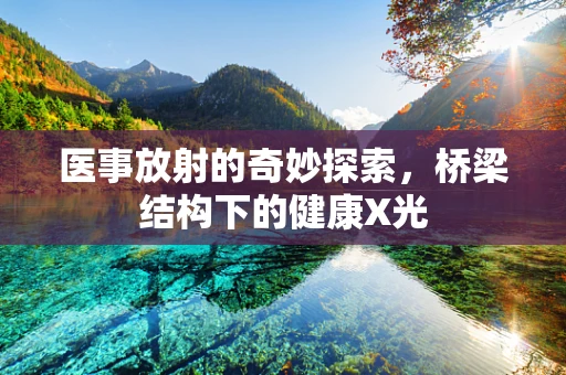 医事放射的奇妙探索，桥梁结构下的健康X光