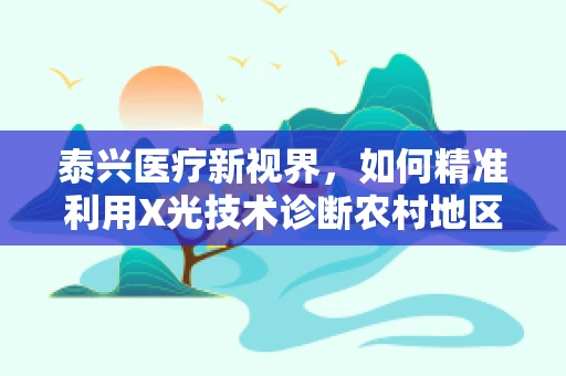 泰兴医疗新视界，如何精准利用X光技术诊断农村地区的骨骼健康问题？