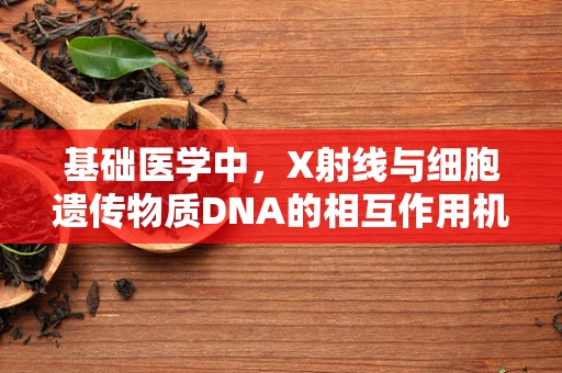 基础医学中，X射线与细胞遗传物质DNA的相互作用机制是什么？