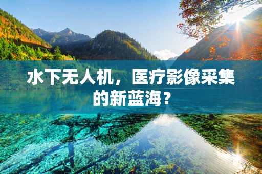 水下无人机，医疗影像采集的新蓝海？