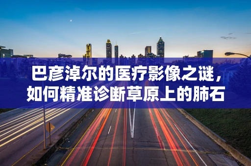 巴彦淖尔的医疗影像之谜，如何精准诊断草原上的肺石病？