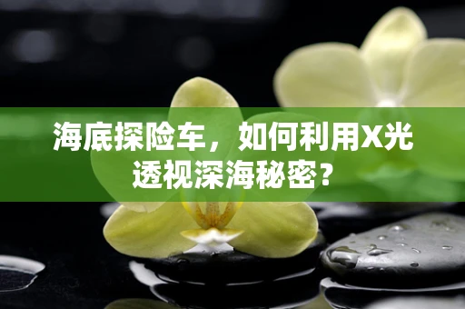 海底探险车，如何利用X光透视深海秘密？