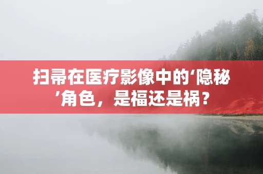 扫帚在医疗影像中的‘隐秘’角色，是福还是祸？