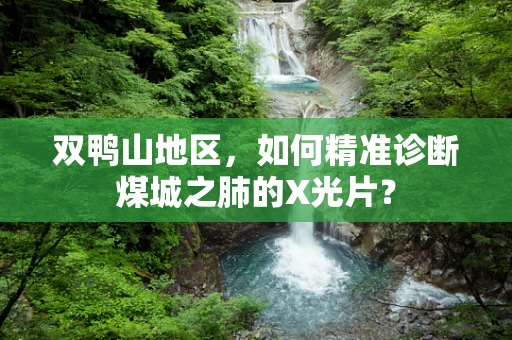 双鸭山地区，如何精准诊断煤城之肺的X光片？