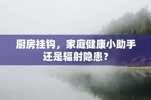 厨房挂钩，家庭健康小助手还是辐射隐患？