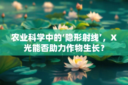 农业科学中的‘隐形射线’，X光能否助力作物生长？