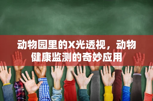 动物园里的X光透视，动物健康监测的奇妙应用