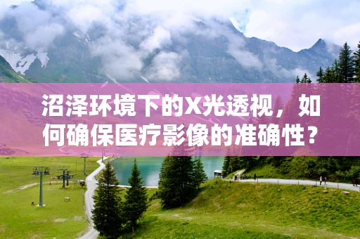 沼泽环境下的X光透视，如何确保医疗影像的准确性？