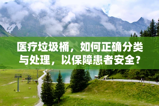 医疗垃圾桶，如何正确分类与处理，以保障患者安全？