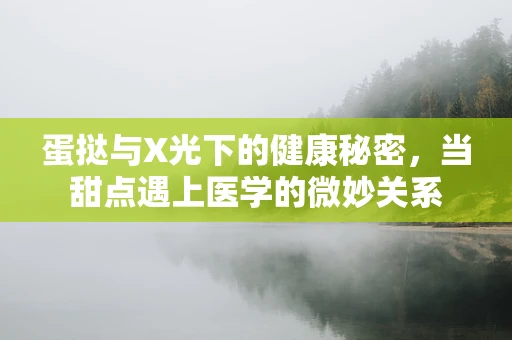 蛋挞与X光下的健康秘密，当甜点遇上医学的微妙关系