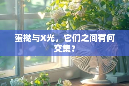 蛋挞与X光，它们之间有何交集？