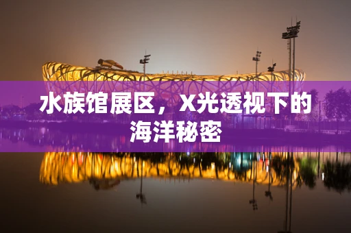 水族馆展区，X光透视下的海洋秘密