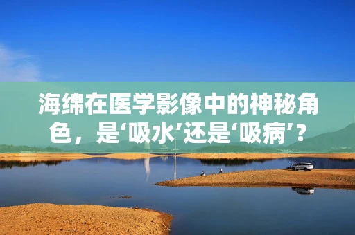 海绵在医学影像中的神秘角色，是‘吸水’还是‘吸病’？