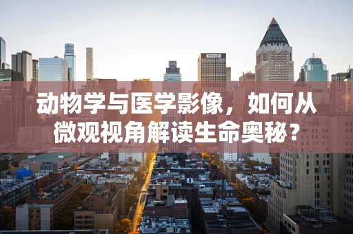 动物学与医学影像，如何从微观视角解读生命奥秘？