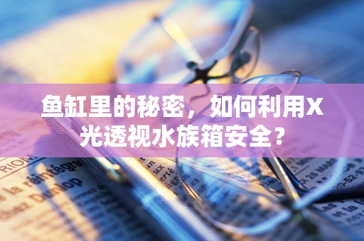 鱼缸里的秘密，如何利用X光透视水族箱安全？