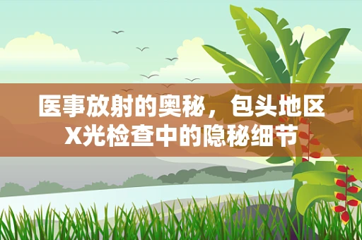 医事放射的奥秘，包头地区X光检查中的隐秘细节