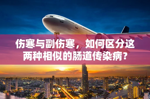 伤寒与副伤寒，如何区分这两种相似的肠道传染病？