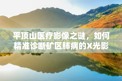 平顶山医疗影像之谜，如何精准诊断矿区肺病的X光影像特征？