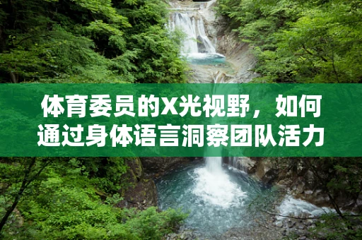 体育委员的X光视野，如何通过身体语言洞察团队活力？