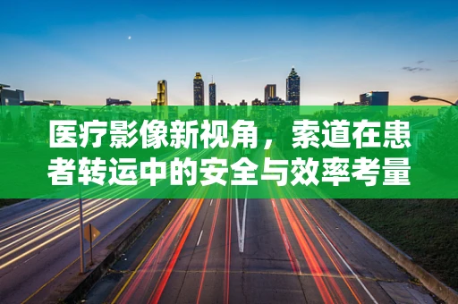 医疗影像新视角，索道在患者转运中的安全与效率考量
