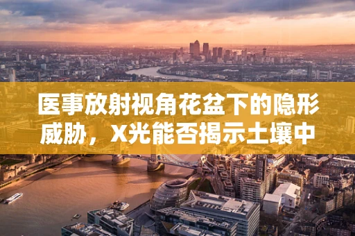 医事放射视角花盆下的隐形威胁，X光能否揭示土壤中的异物？