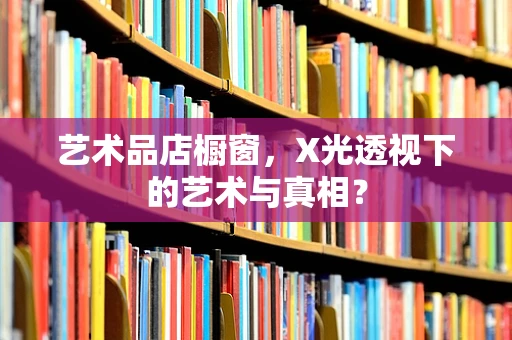 艺术品店橱窗，X光透视下的艺术与真相？