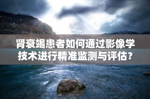 肾衰竭患者如何通过影像学技术进行精准监测与评估？
