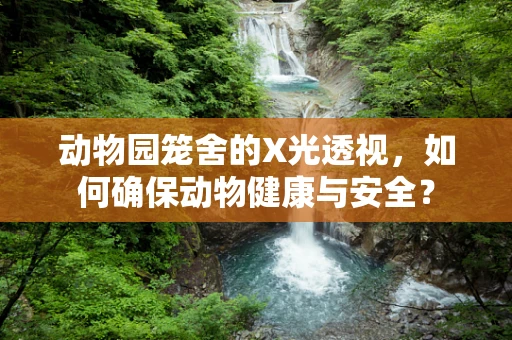 动物园笼舍的X光透视，如何确保动物健康与安全？