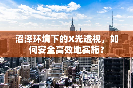 沼泽环境下的X光透视，如何安全高效地实施？