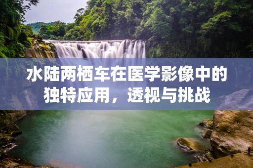 水陆两栖车在医学影像中的独特应用，透视与挑战