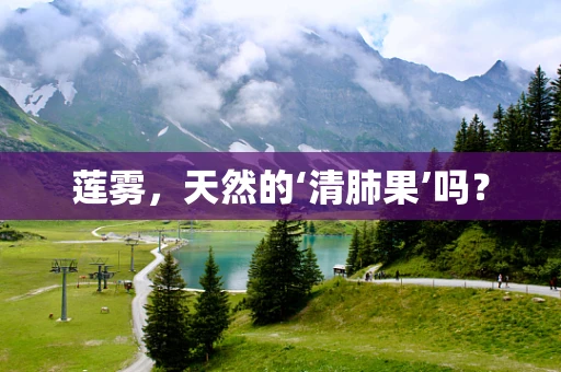 莲雾，天然的‘清肺果’吗？