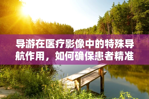 导游在医疗影像中的特殊导航作用，如何确保患者精准定位？