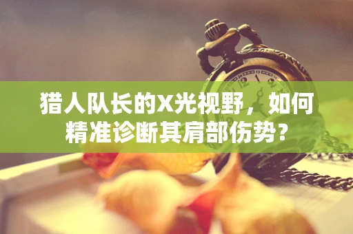 猎人队长的X光视野，如何精准诊断其肩部伤势？