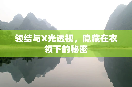 领结与X光透视，隐藏在衣领下的秘密