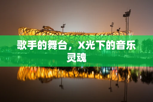歌手的舞台，X光下的音乐灵魂