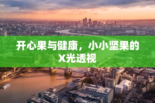 开心果与健康，小小坚果的X光透视