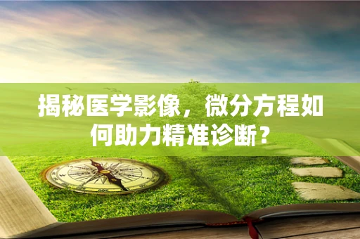 揭秘医学影像，微分方程如何助力精准诊断？