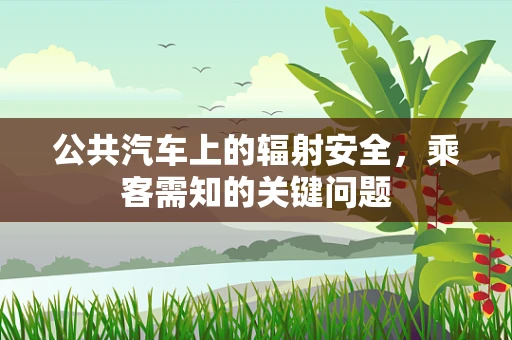 公共汽车上的辐射安全，乘客需知的关键问题