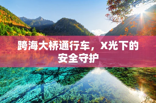 跨海大桥通行车，X光下的安全守护