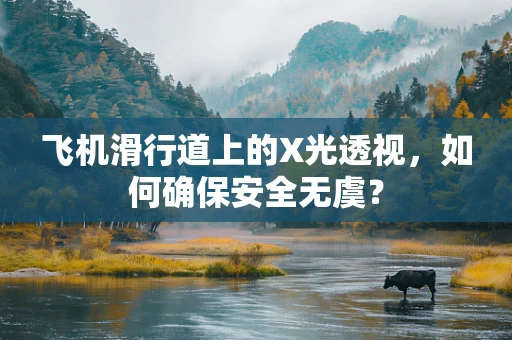 飞机滑行道上的X光透视，如何确保安全无虞？