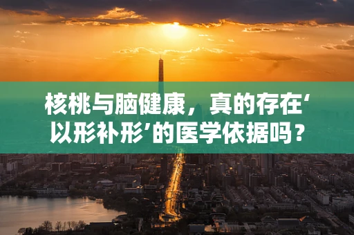 核桃与脑健康，真的存在‘以形补形’的医学依据吗？