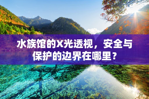 水族馆的X光透视，安全与保护的边界在哪里？