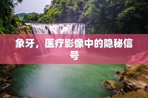 象牙，医疗影像中的隐秘信号