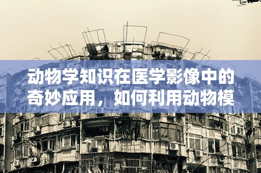 动物学知识在医学影像中的奇妙应用，如何利用动物模型优化放射治疗计划？