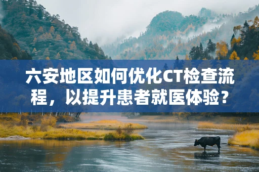 六安地区如何优化CT检查流程，以提升患者就医体验？