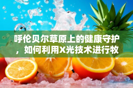 呼伦贝尔草原上的健康守护，如何利用X光技术进行牧区牲畜健康监测？
